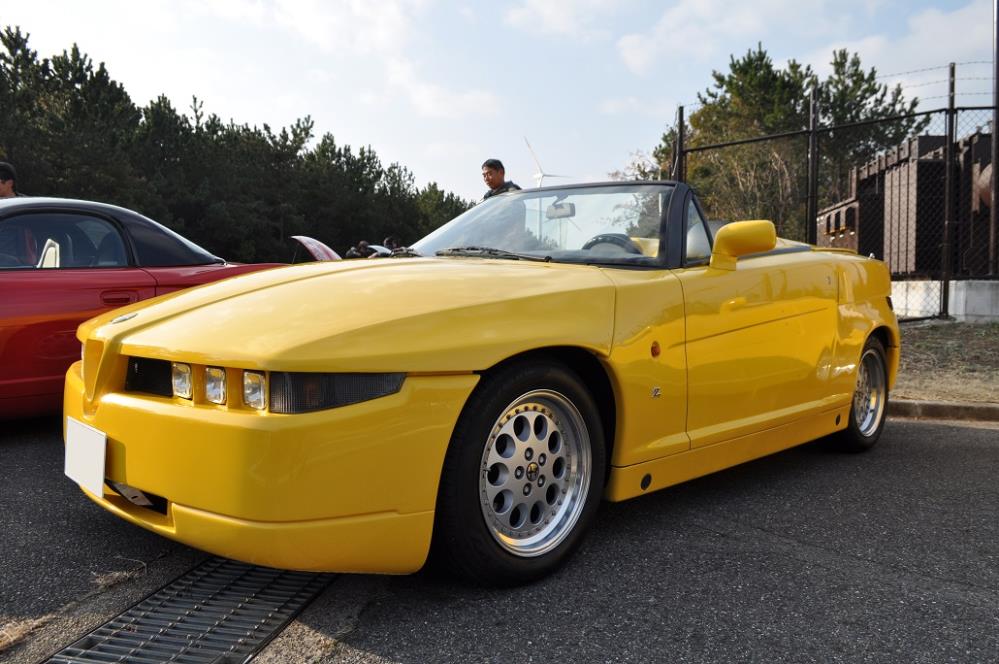 180121MAIKO (18).JPG